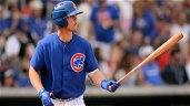 Happy Opening Day! Cubs 2019 Minor League Primer