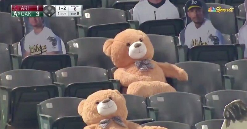 Bill Murray with a giant teddy bear