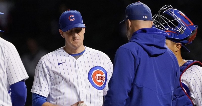 Cubs rally falls short in loss to Twins