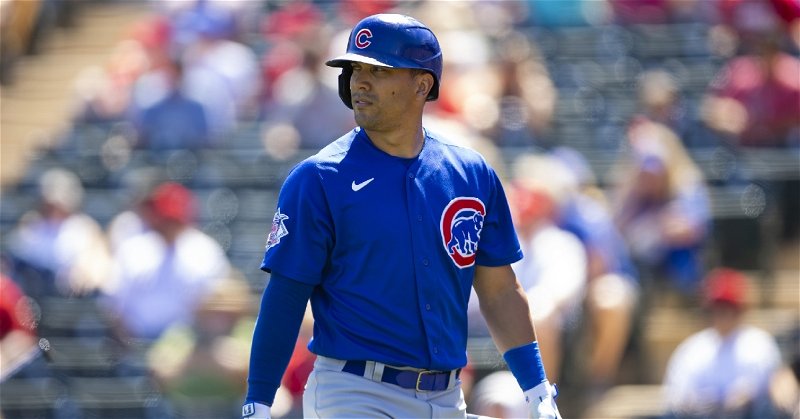 Roster Moves: Cubs place Rafael Ortega on 60-day IL, call up outfielder