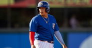 Chicago Cubs Prospect Profile: Moises Ballesteros