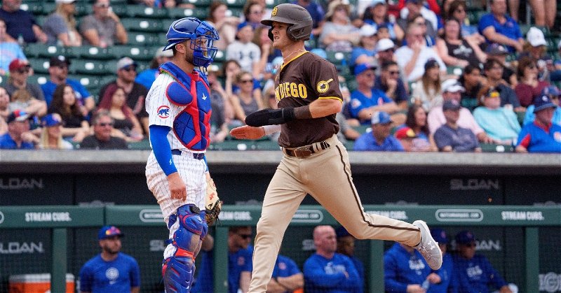 Padres blank Cubs for first spring loss