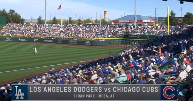 WATCH: Cubs stay perfect in Cactus League with win over Dodgers