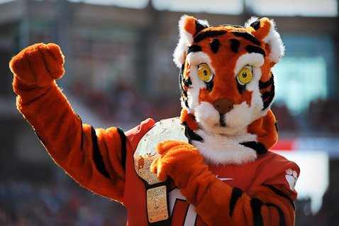 The Clemson mascot with his golden championship belt.