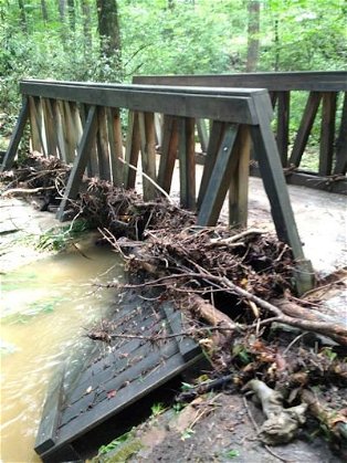 Flood damage closes S.C. Botanical Garden for first time ever