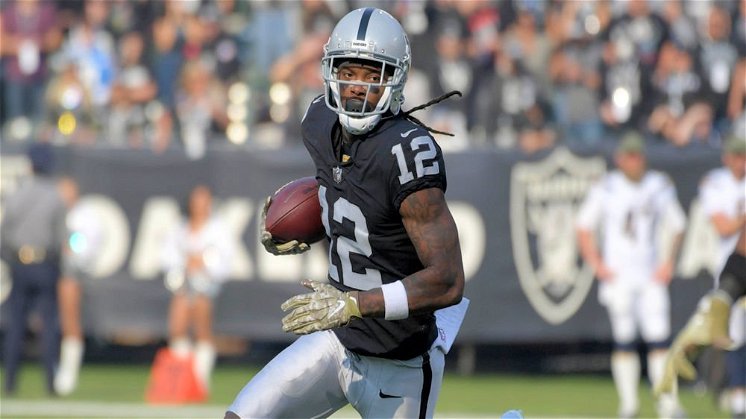 Martavis Bryant was picked by the Vegas Vipers of the XFL. (USA TODAY/Kirby Lee)