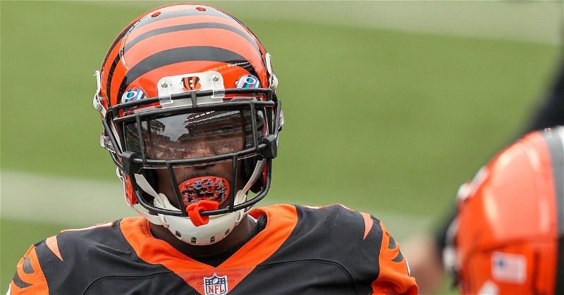 Alexander is in his first year with the Bengals (Katie Stratman - USA Today Sports)