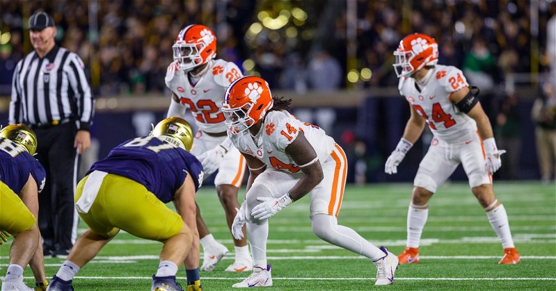 Clemson rotated in a total of four defensive ends Saturday, including 14 snaps for Kevin Swint.