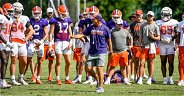 Friday Update: Tigers dealing with heat and injuries at Jervey Meadows camp