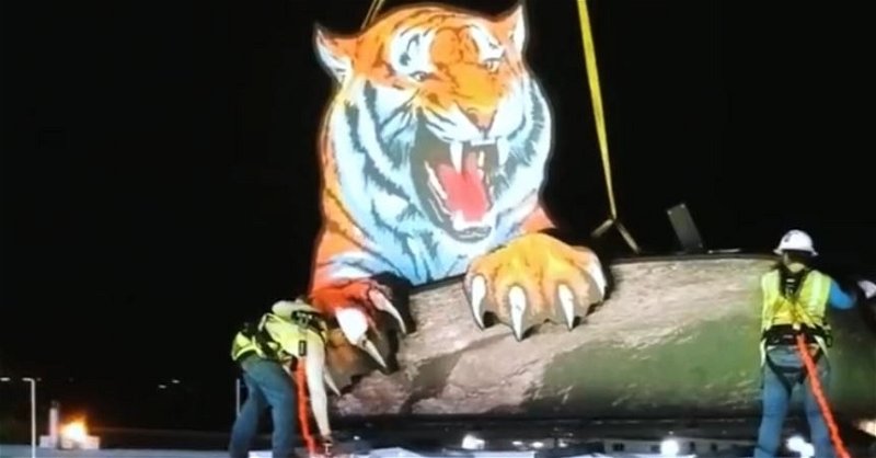 The vintage Tiger is back on top of the videoboard