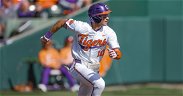No. 8 Tigers host Jaspers for two-game series