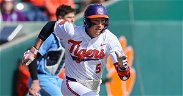Tigers' ranking unchanged among major polls after series win over Gamecocks