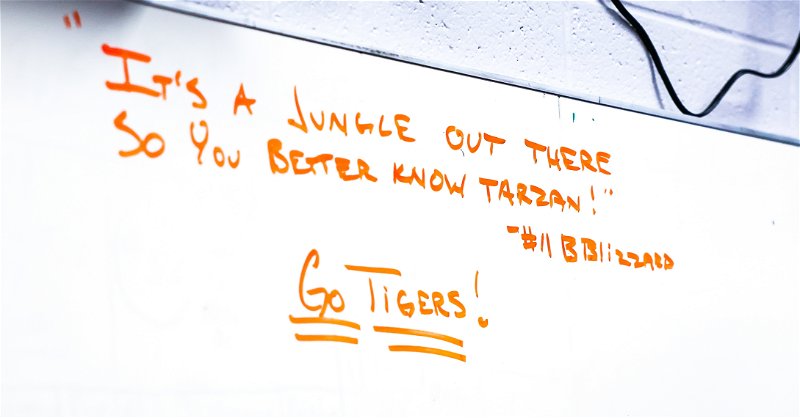 Tigers looking for Tarzan against Baylor
