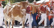 Texas mascot Bevo banned from attending Chick-fil-A Peach Bowl