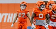 Clemson spring game: Tigers to watch out for