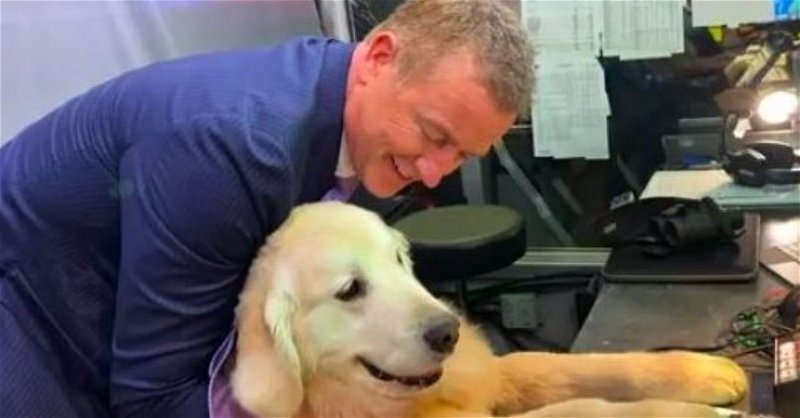 Herbstreit hanging out with his dog Ben