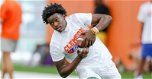 In-state receiver extended offer by Dabo Swinney after workout, visit