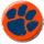 TigerNick04 Logo