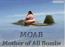 moab® Logo