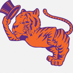 tiger_thom® Logo