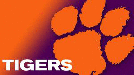 junk yard tiger® Logo