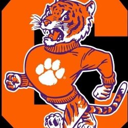 Tiger In Waynesboro GA® Logo